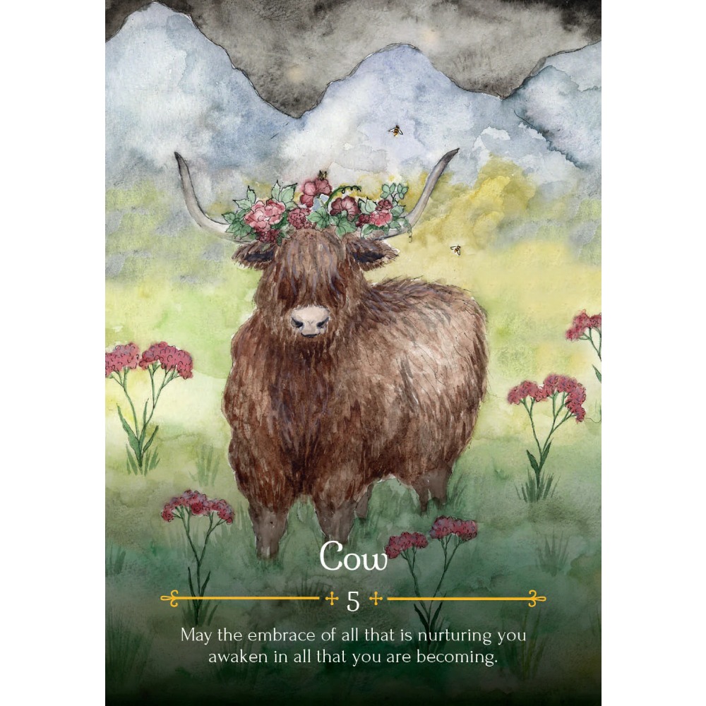 Beltane-魔女の季節のオラクルカード,11x6.5cm - Tarot Deck With Guidebook のレビューと価格